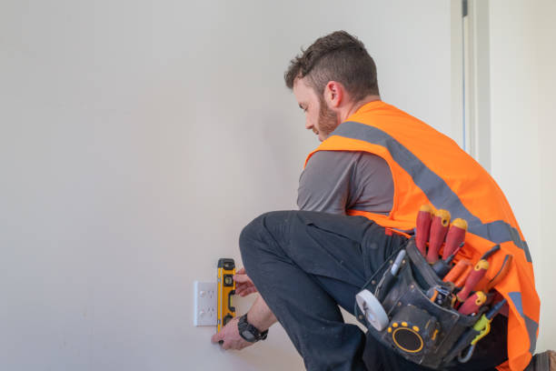 Best Electric Panel Repair  in Olivehurst, CA